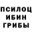 Галлюциногенные грибы мицелий Silensed Silenser