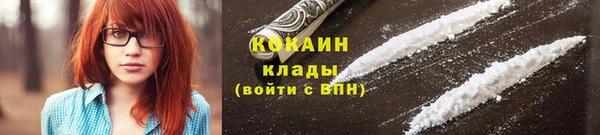 спайс Богданович