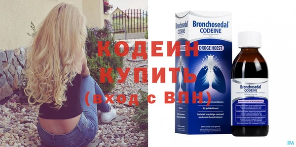 дживик Богородск