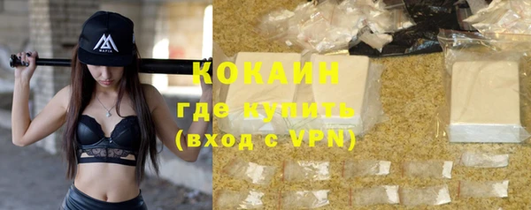 дживик Богородск